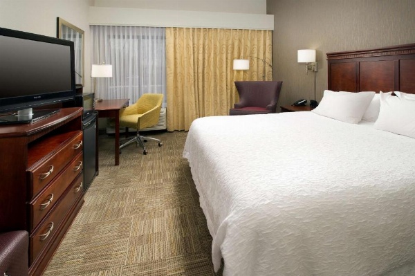 Hampton Inn By Hilton Rochester-Greece image 16